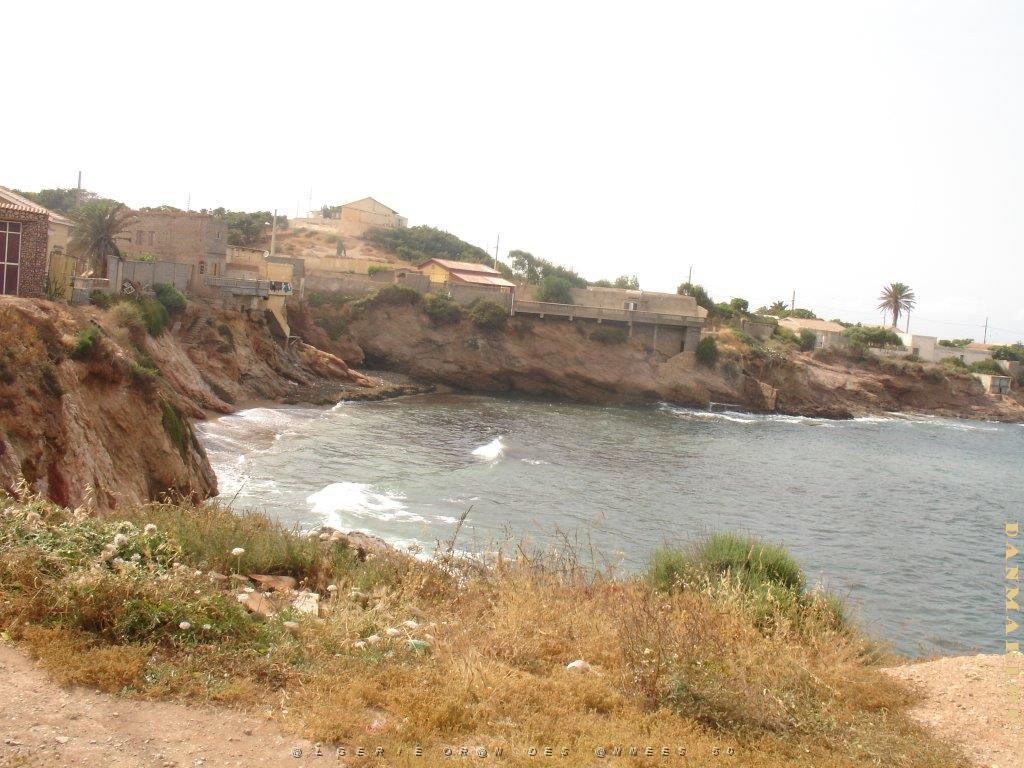 oran 155.jpg